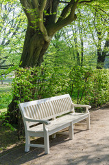 wooden benches in Lazienki park © aga7ta