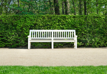 Naklejka premium wooden benches in Lazienki park