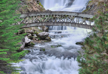 Fototapeta na wymiar pont au dessus d'une cascade (chartreuse)