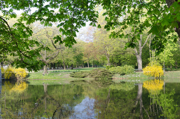 Fototapeta na wymiar pond in Lazienki Park in Warsaw