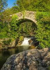 Fototapeta na wymiar Genoese bridge and cascade near Feliceto in Corsica