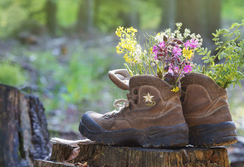 Wanderschuhe auf Baumstumpf mit Blumen