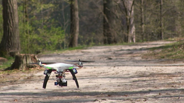 Copter\drone with camera  fly in  spring wood