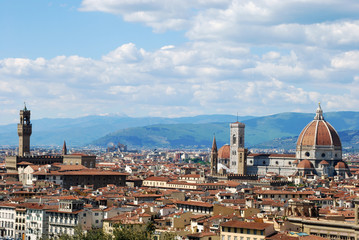 Fototapeta na wymiar Florence, city of art, history and culture - Tuscany - Italy 102