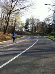 Road in Central Park