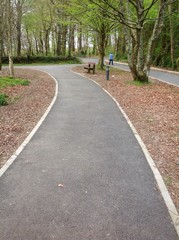 Obraz premium park pathway spring time