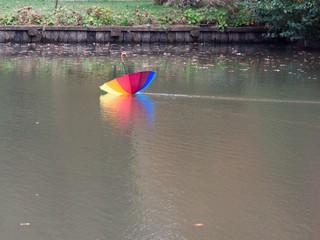 Umbrella on lake