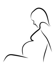 contours of the pregnant woman