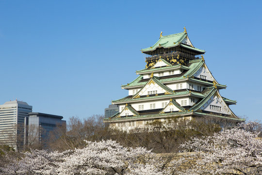 大阪城と桜