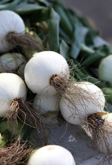 white onions