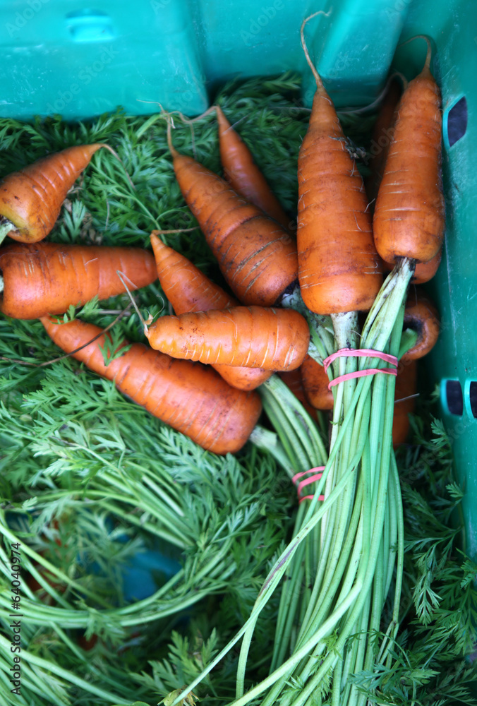 Wall mural bunches of carrots