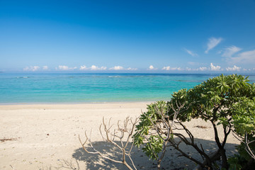 大宜味村のビーチ