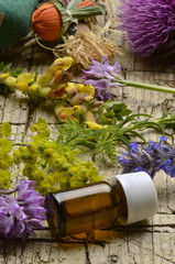 Bláthanna fiáine Wildflowers Blommor Flores silvestres