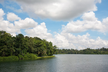 Fototapeta na wymiar Upper Seletar Reservoir in Singapore