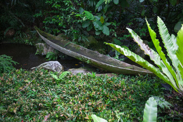 Old wooden boat lies near the stream