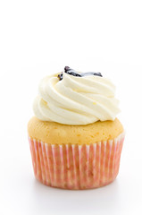 Cupcakes isolated on white background