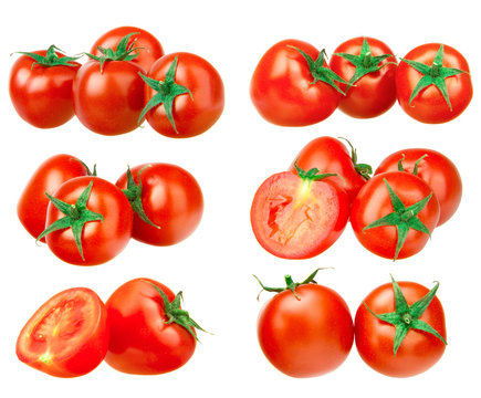 tomato collection