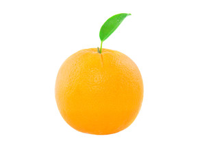 Fresh Orange fruit on white background
