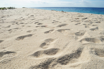 Fototapeta na wymiar Whitesand and The Footprint