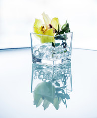 Silhouette orchid in glass