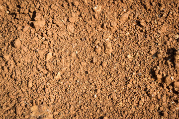 laterite soil