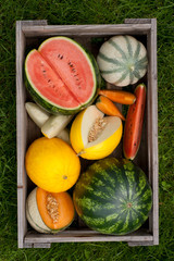 Fresh melons © Christian Jung