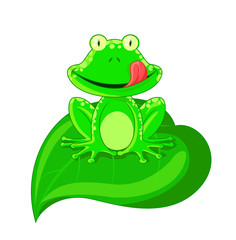 Cute Frog Cartoon
