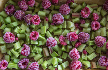 Raspberry Pieplant Cake Filling