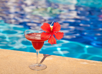 fresh pureed strawberry margarita