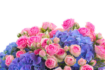 border of pink roses and blue hortensia flowers close up