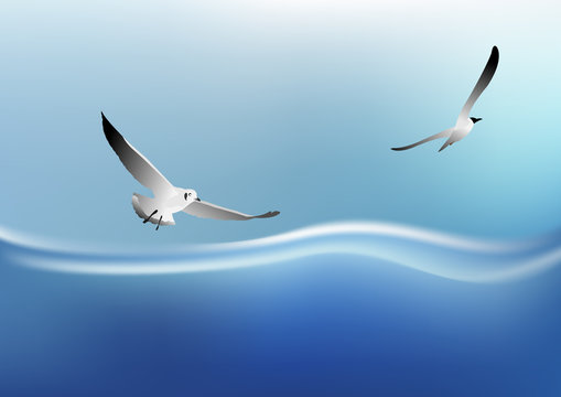 seagull flying on the sea