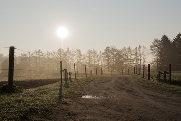 Backlit photo of dirt road and pastures with haze