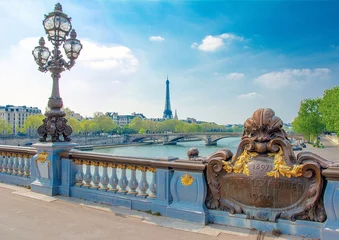 Foto op geborsteld aluminium Pont Alexandre III Pont Alexandre III in Parijs in Frankrijk