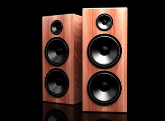 Two classic wooden speakers on black background with reflection
