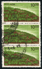 stamp printed in India shows a forest on the hillside
