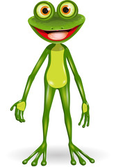 Obraz premium green frog