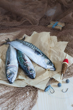 Bodeg&oacute;n de pesca con peces, anzuelos, sedal, boya y redes