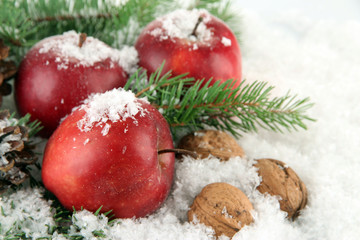 Red apples with fir branches and nuts in snow close up © Africa Studio