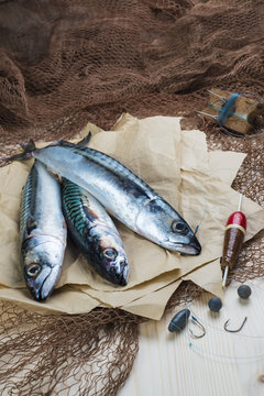 Bodeg&oacute;n de pesca con peces, anzuelos, sedal, boya y redes