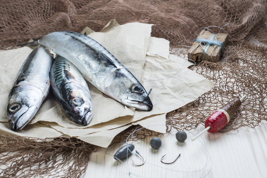 Bodeg&oacute;n de pesca con peces, anzuelos, sedal, boya y redes