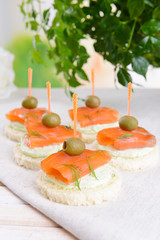 Delicious canapes on table close-up