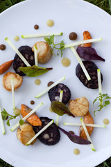 Scallops, coral, black sausage and green apple on a plate