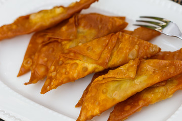 Deep Fried Wonton