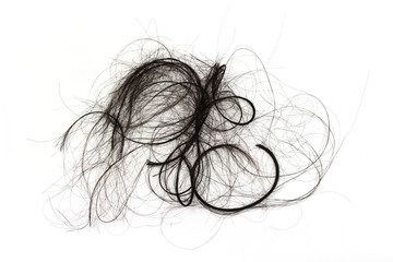 black hair isolated on white