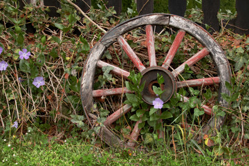 Fototapeta na wymiar Wooden wheel