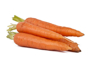 raw and fresh carrots in closeup over white