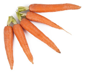 raw and fresh carrots in closeup over white