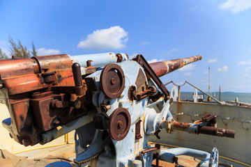 rusty canon