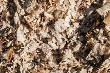 sawdust