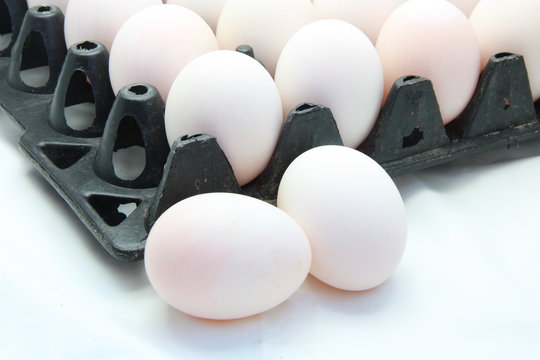 Duck eggs in the package
